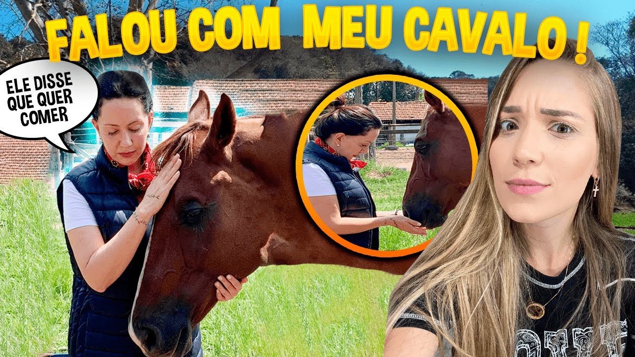 EU CONHECI uma VETERINÁRIA que SABE FALAR COM ANIMAIS!