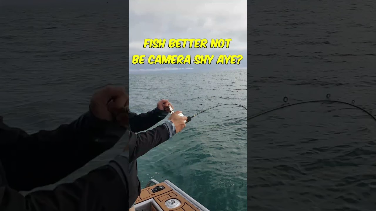 Slow Pitch Jigging Technique - Wind and Lift, followed by fall