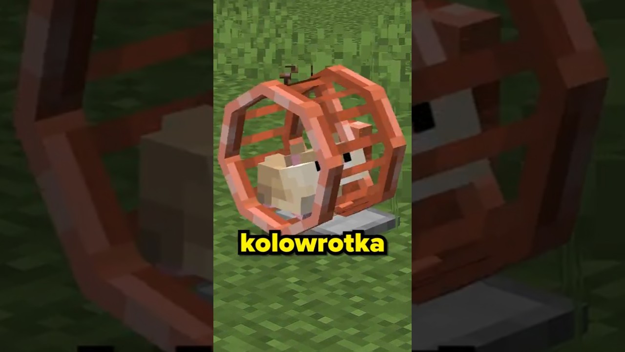 Co gdyby CHOMIKI były w MINECRAFT