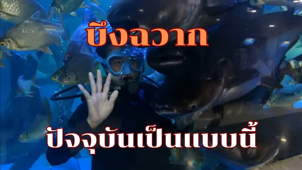 บึงฉวาก จ.สุพรรณฯปัจจุบันเป็นแบบนี้