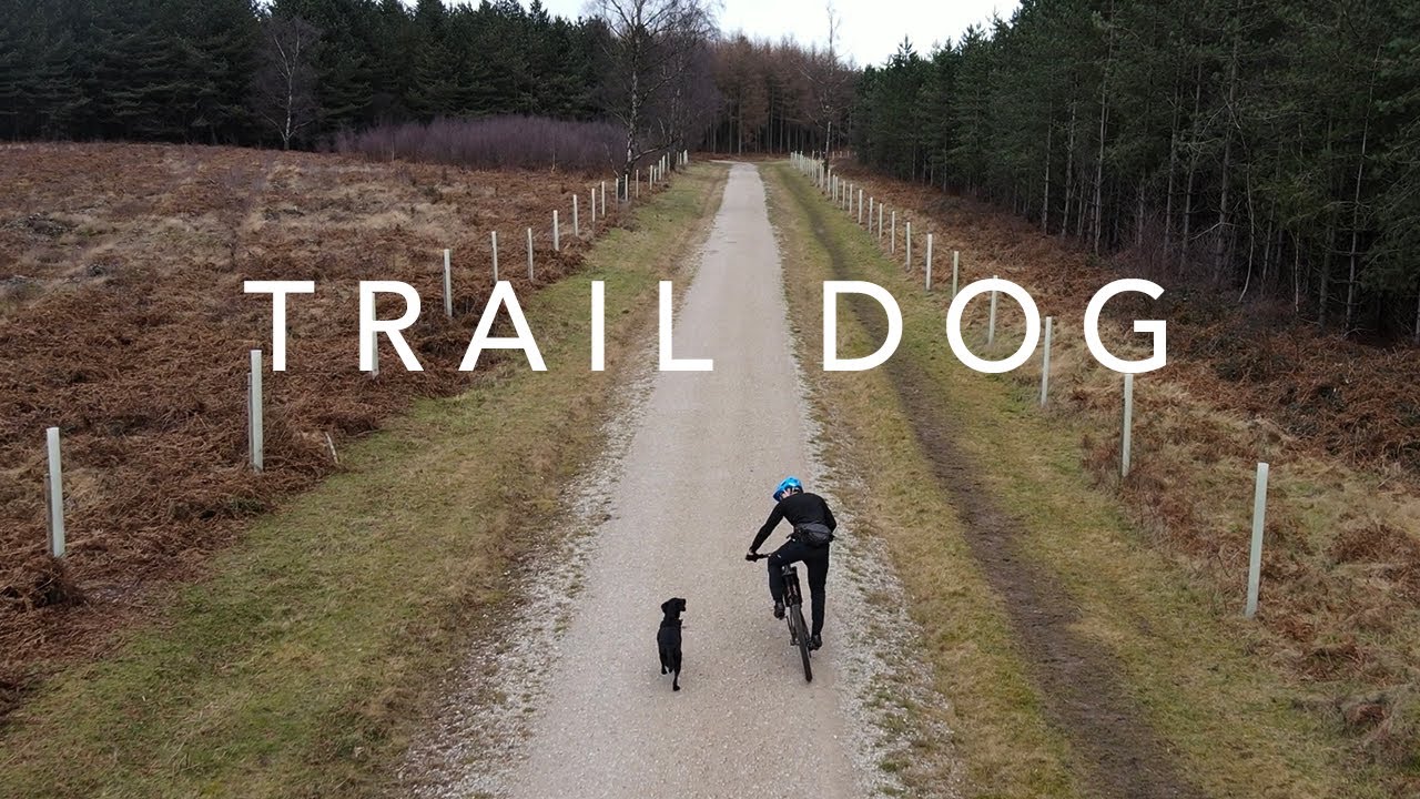 Training Inca to become the ultimate Mtb Trail Dog