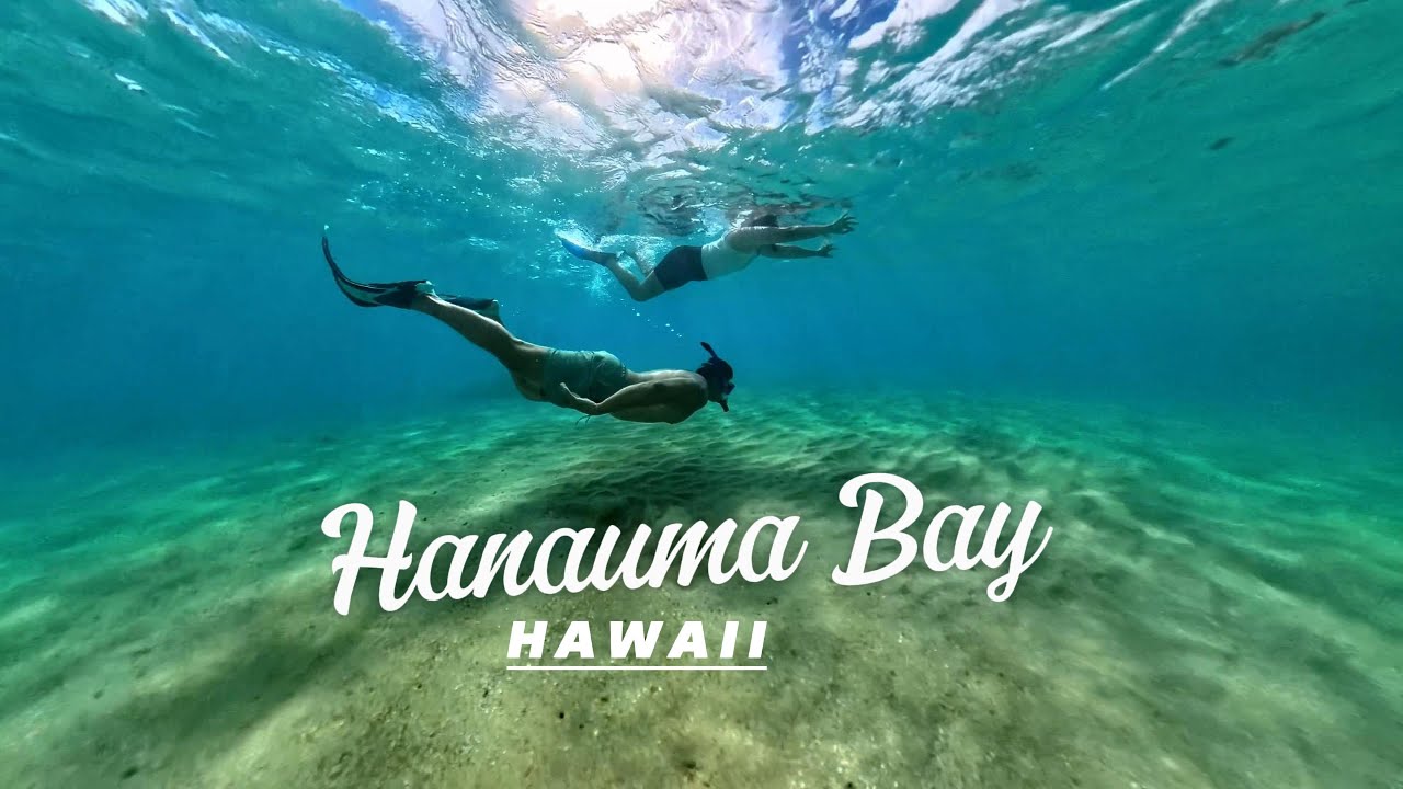 Hanauma Bay Snorkeling | Beautiful Hawaii | First Time Snorkeling | 