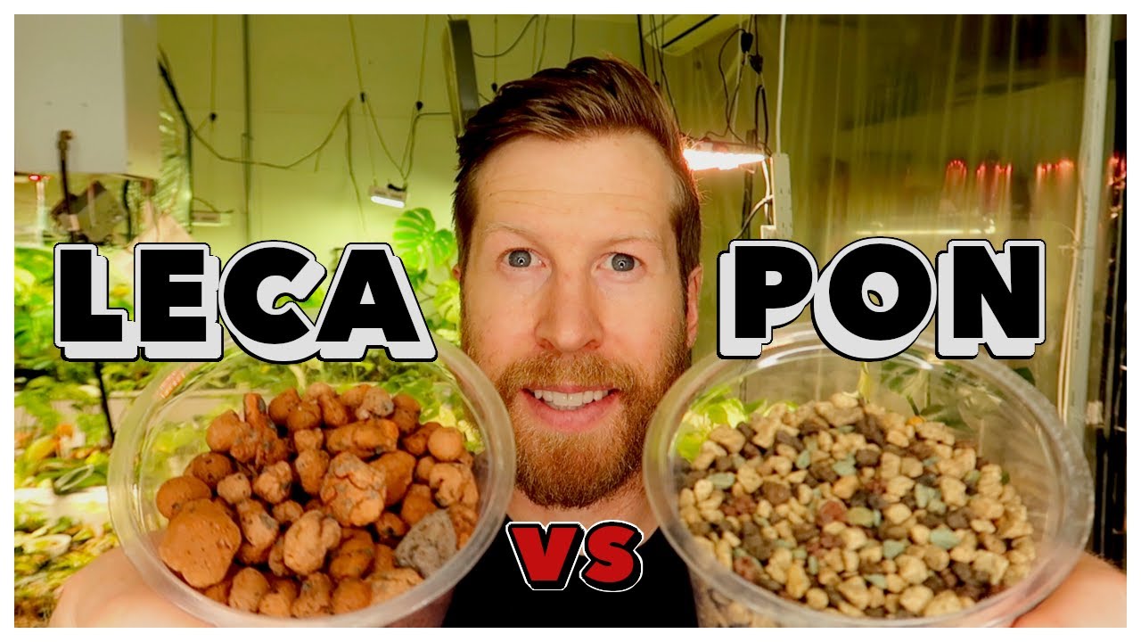 PON vs LECA vs PERLITE vs STRATUM  || Semi Hydro Media Comparison