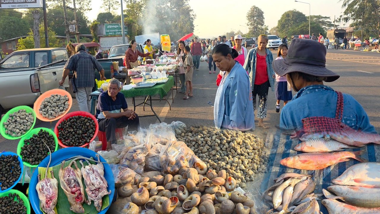 ตลาดนัดเช้าบ้านสองคอน อำเภอโพธิ์ไทร จังหวัดอุบลฯ#ของป่า #ปลาโขง 