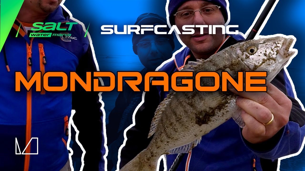 SURFCASTING A MONDRAGONE