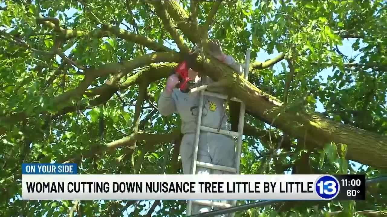 Woman cutting down nuisance tree little by little
