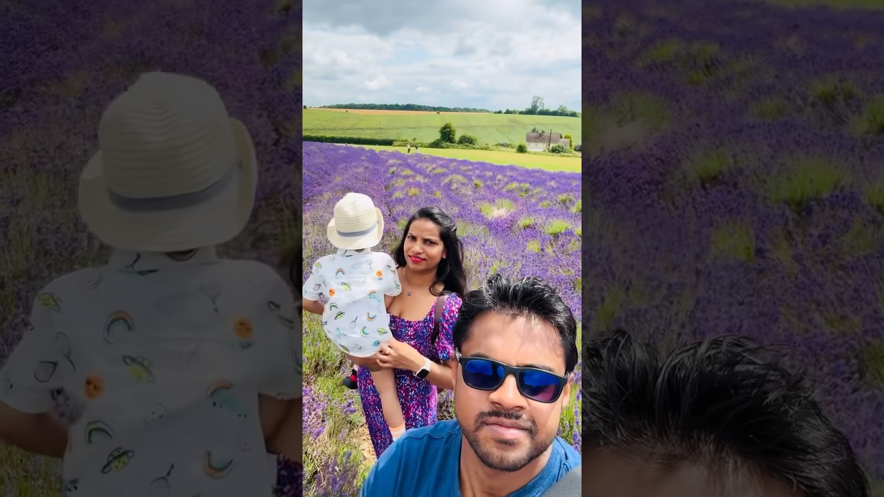 Lavender moments…🥰  