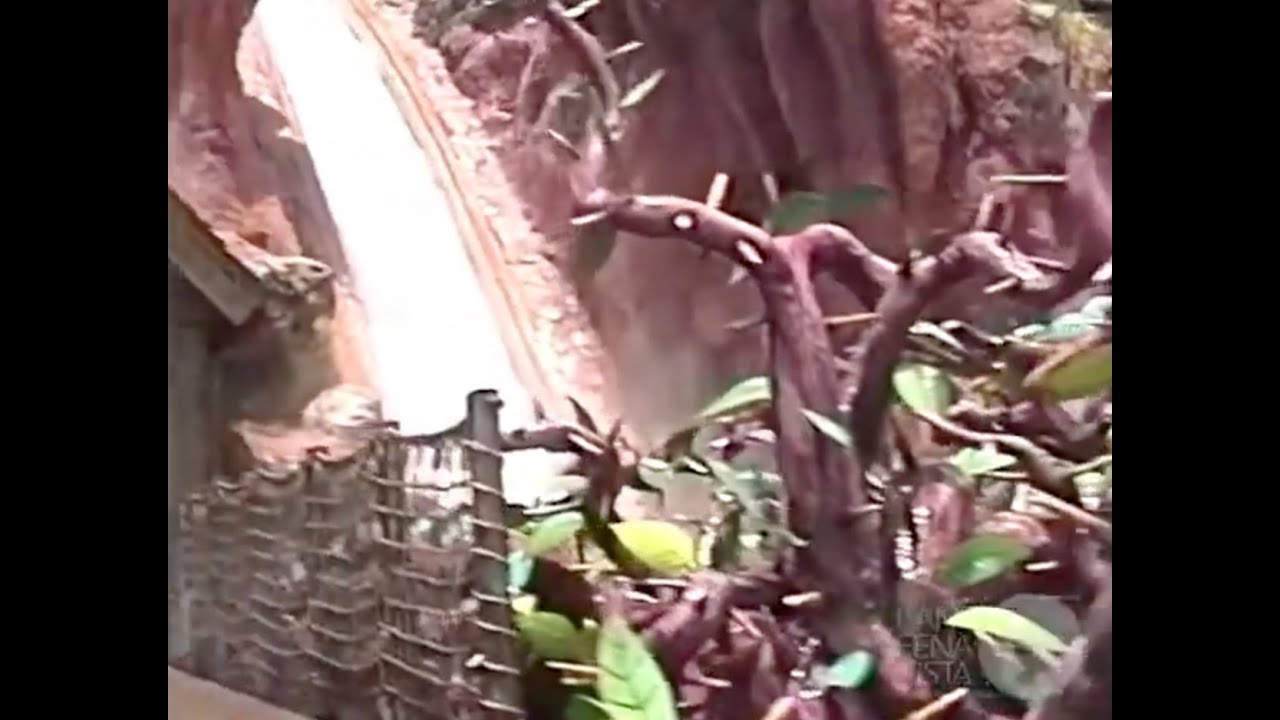Splash Mountain Ride-Through - June 1992 - 8mm Video