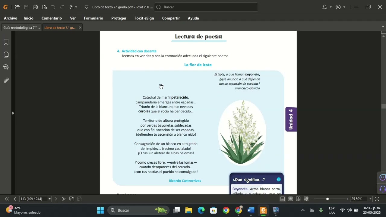 Lengua y Literatura séptimo grado Unidad 4, Semana 2