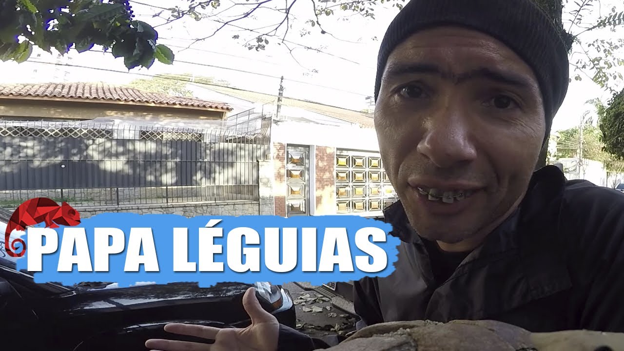 JACKSON FAIVE (MARCO LUQUE) -- PAPA LÉGUIAS