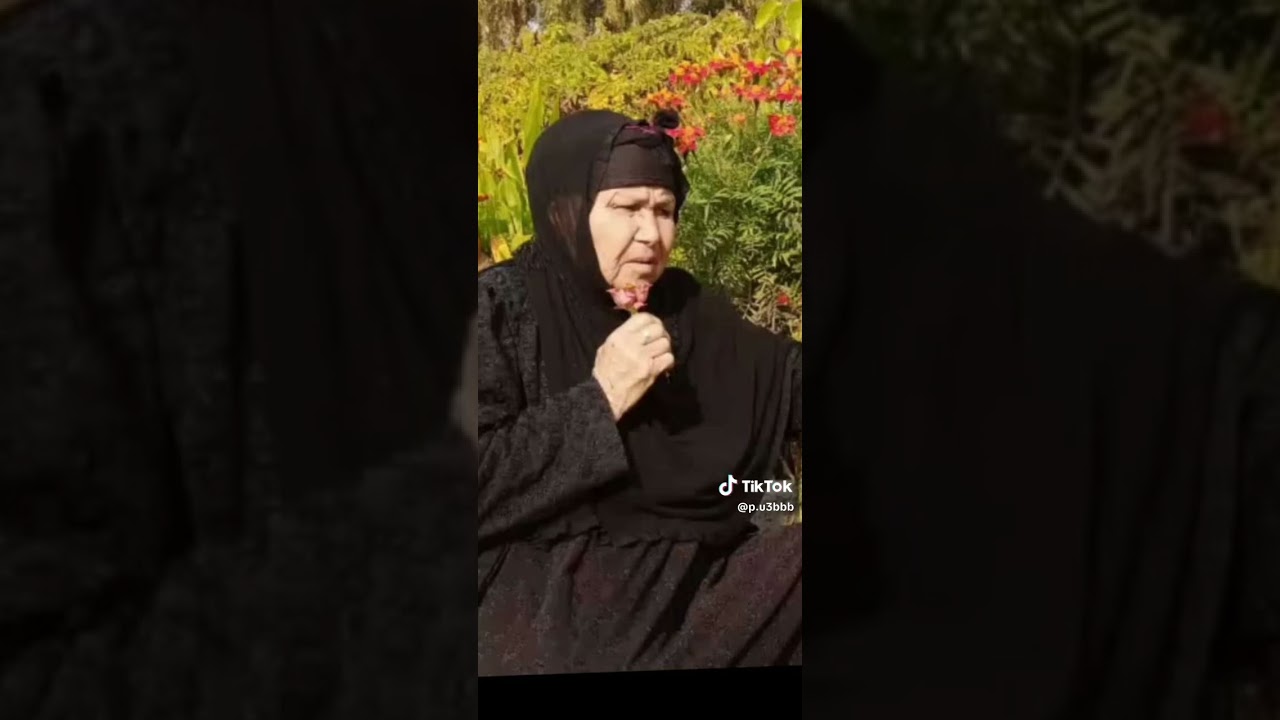 ١١ ديسمبر ٢٠٢٥