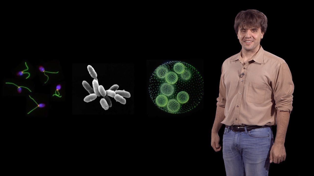Karl Deisseroth (Stanford / HHMI): Development of Optogenetics
