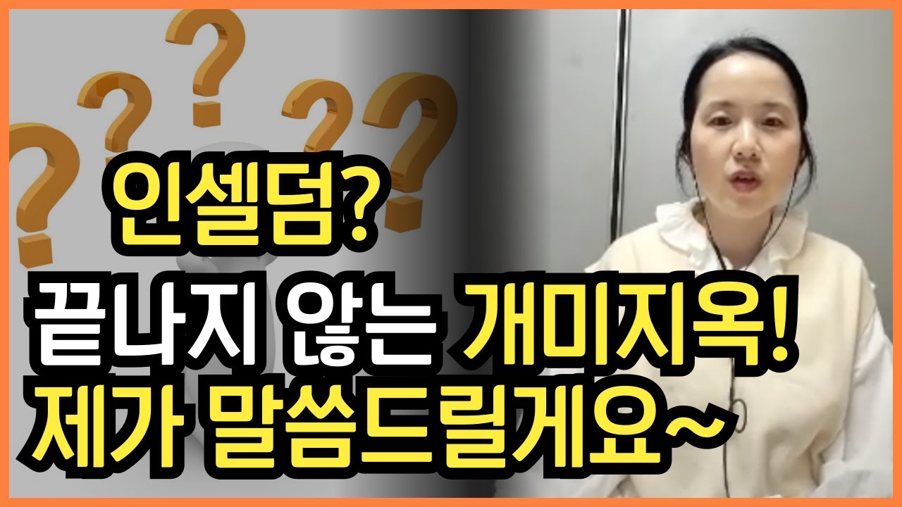 인셀덤 사업실체? 제대로 알고 선택해야 부작용을 피합니다!! ㅣ다단계 네트워크마케팅