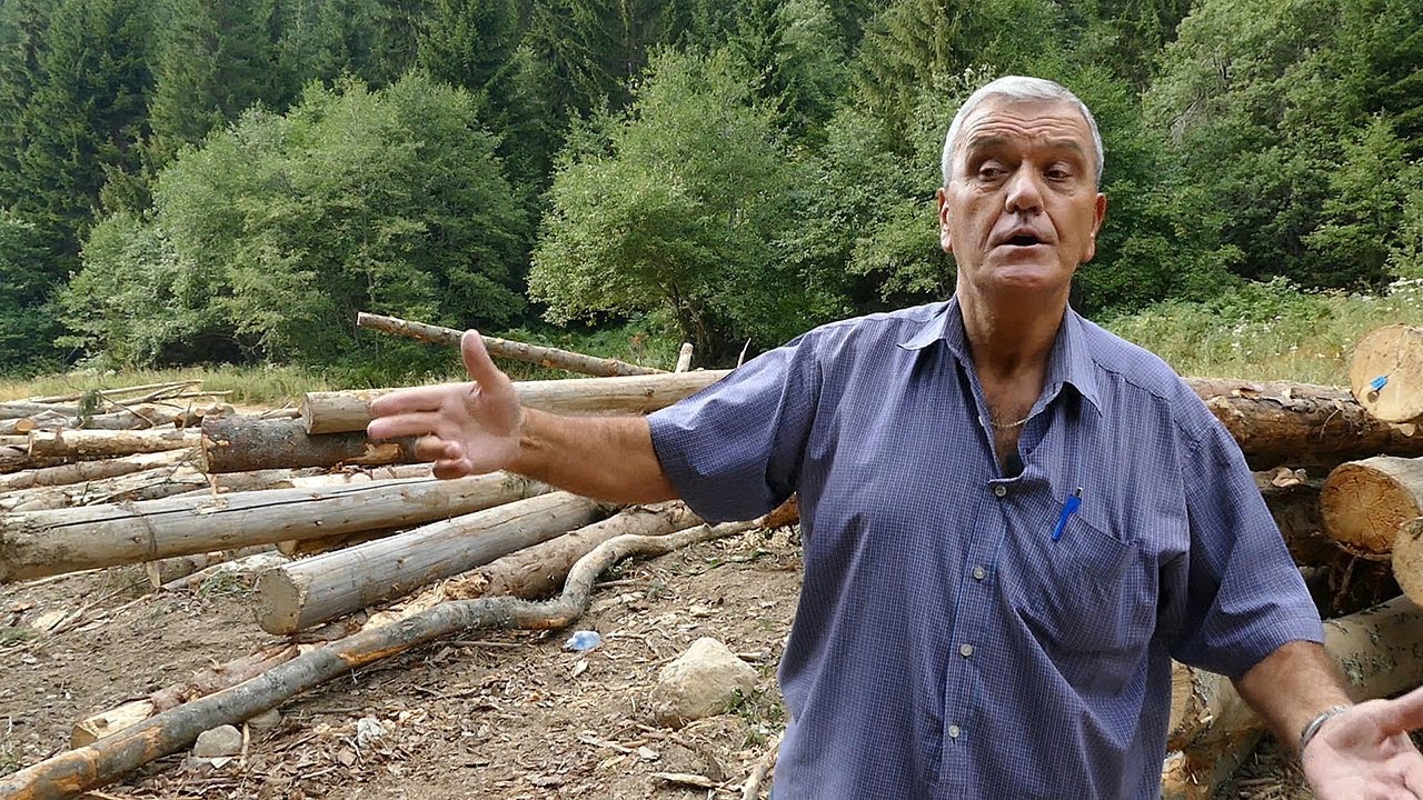 Sebešiću treba obnova života