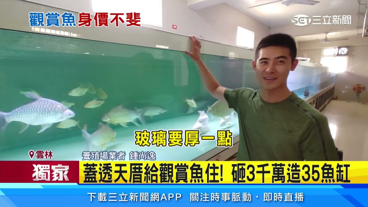 蓋透天厝給觀賞魚住! 砸3千萬造35魚缸｜三立新聞網 SETN.com