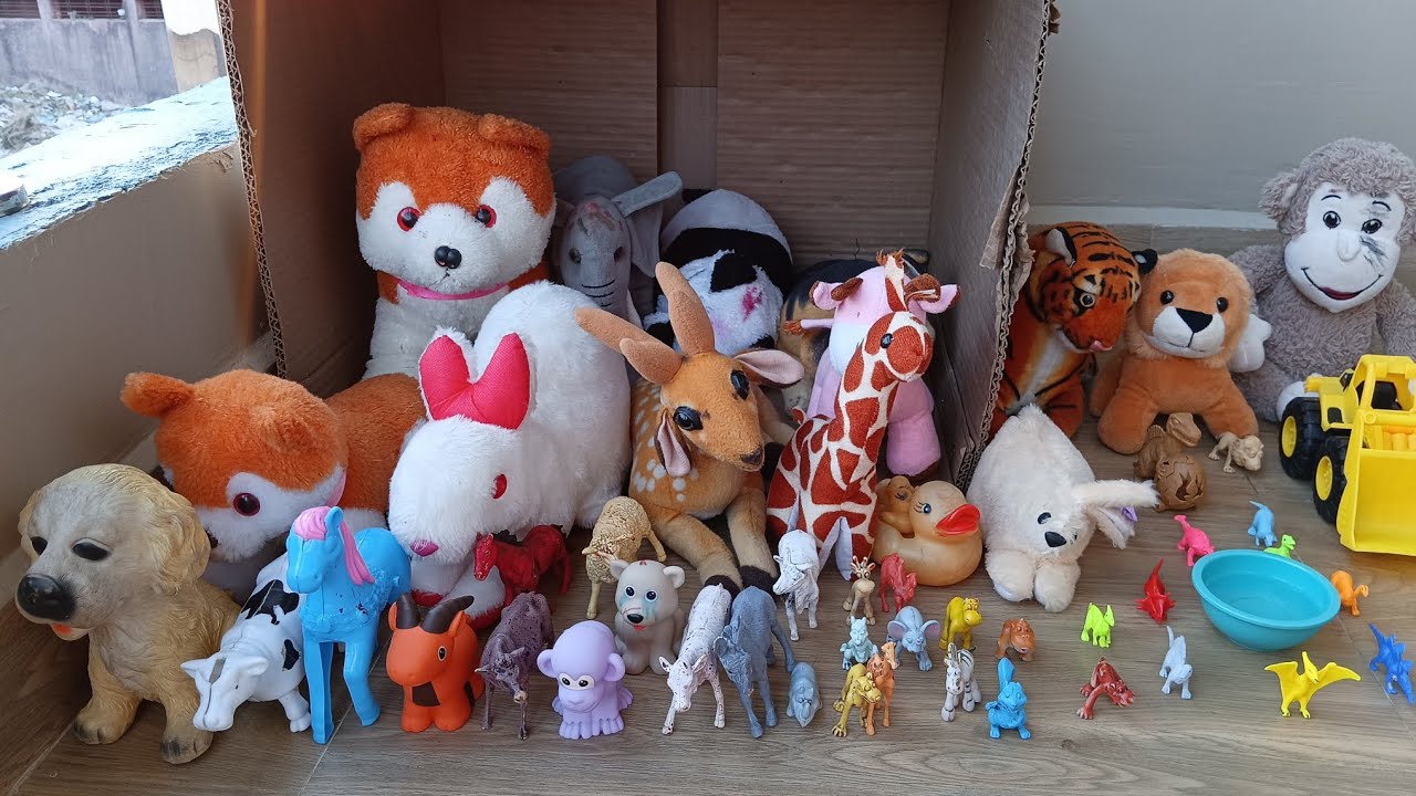 janwar gye jungle pani  pine | janwaro pr hui Tiger 🐯🐅 ki attack