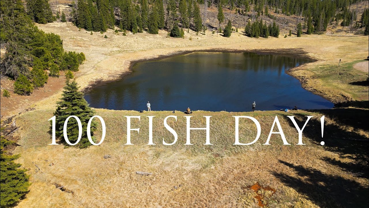 First 100 Fish Day from a Tiny Arizona Lake
