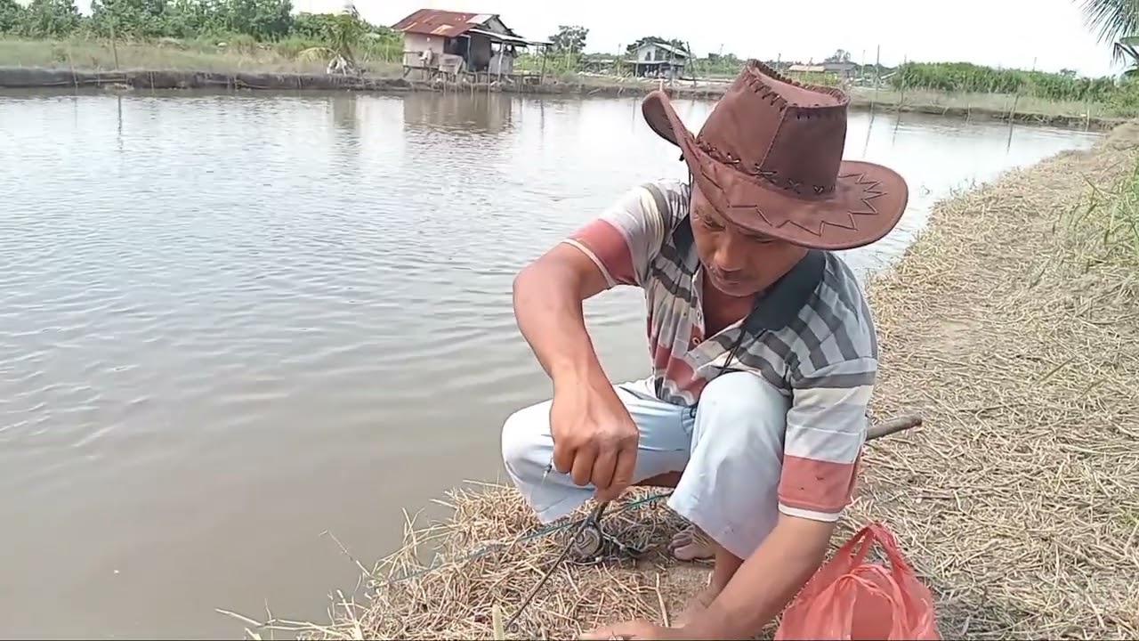 buka kolam mancing bg hombing di pauh amparan perak,tgl 21/12/2025.minggu jam setengah 6 pg.
