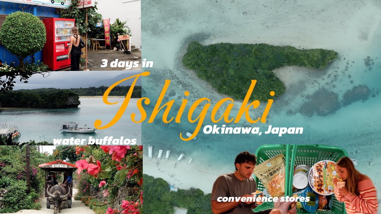 Ishigaki, Japan🌴🍙🐢🌦️ | convenience store haul, water buffalos, Japanese island life and rainy days