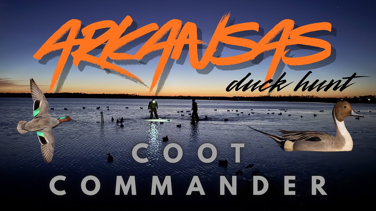We drove to Arkansas for THIS?! Arkansas Duck Hunt (Professional bird watching)