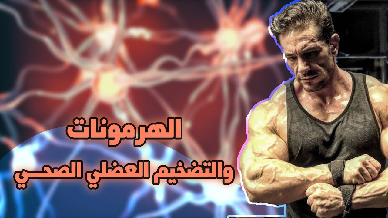 الهرمونات و كمال الأجسام : هرمون التضخيم