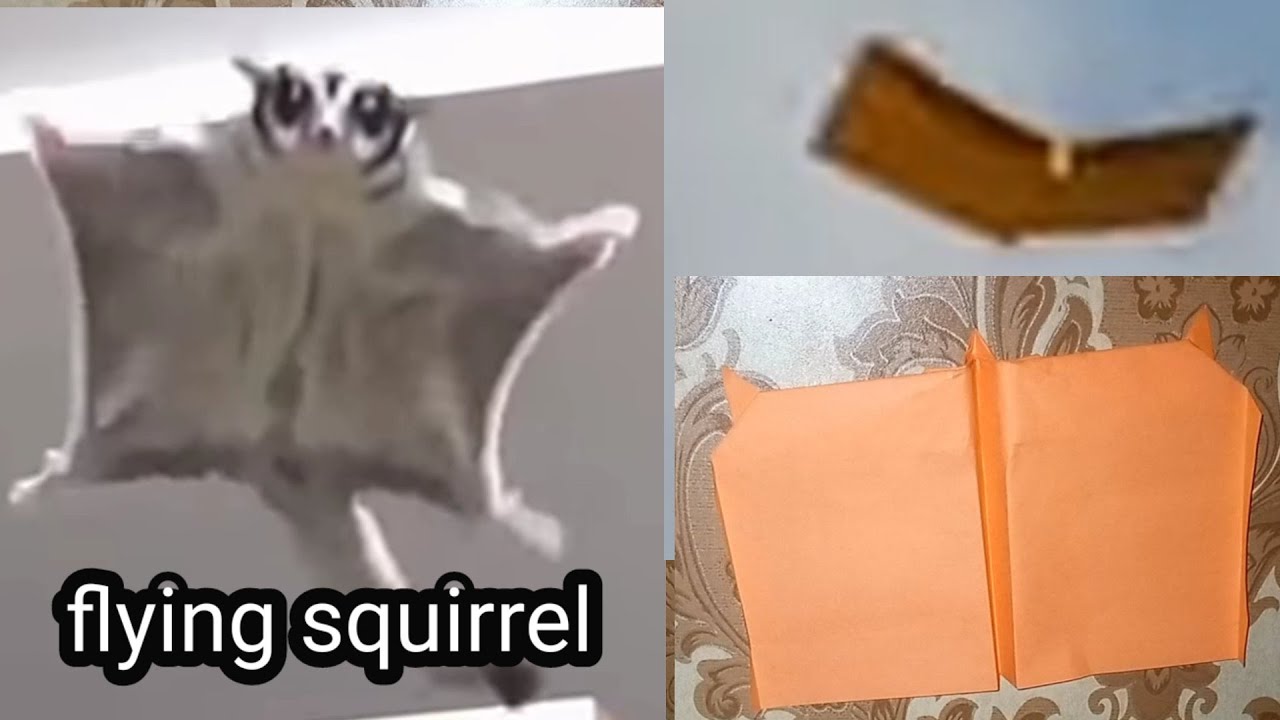 How to fold Flying Squirrel paper plane