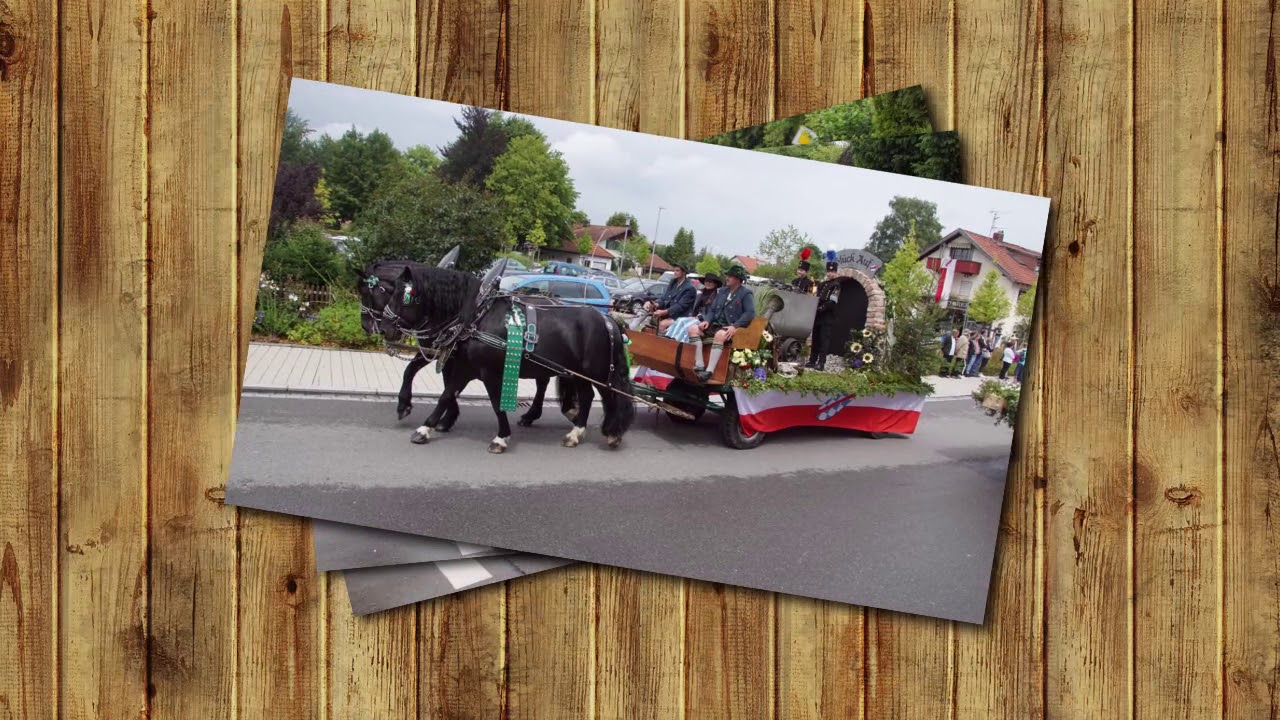 Festwagen, Ross und Reiter