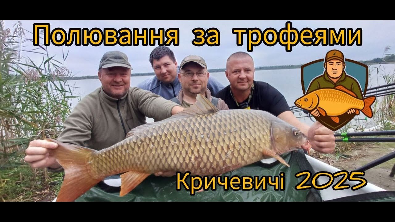 Кричевичі 2025 