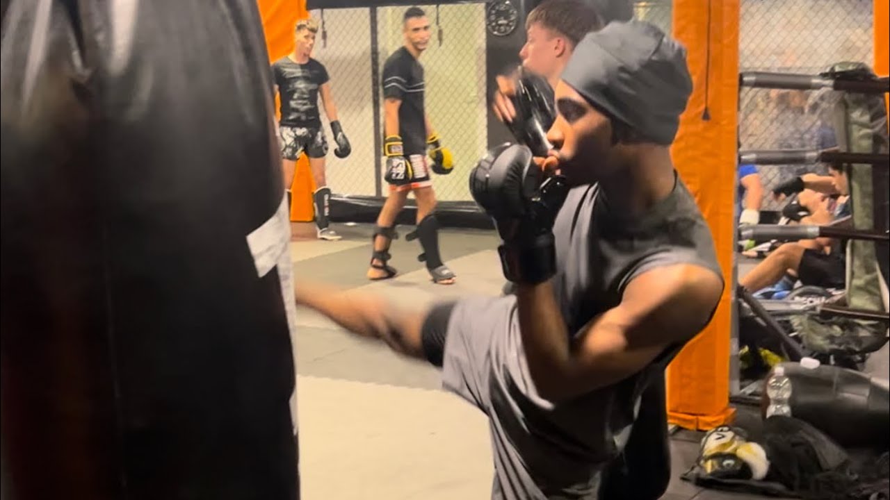 Engage MMA HYBRID GLOVES REVIEW!