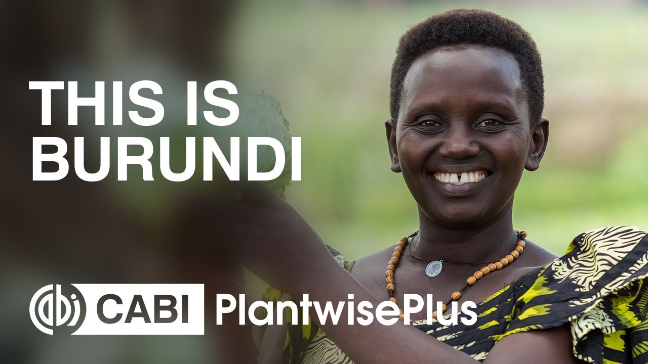 This is Burundi, where farming is life
