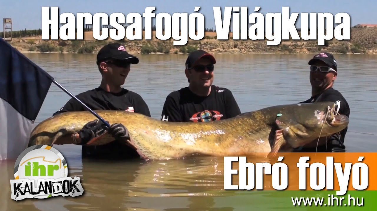 Harcsafogó Világkupa 2012 - Ebro folyó, Spanyolország
