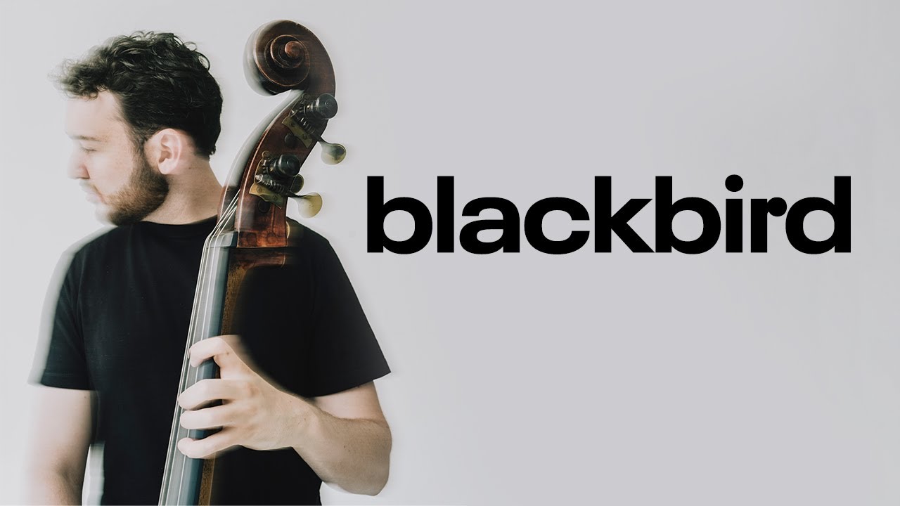 Cole Davis Solo Bass: Blackbird