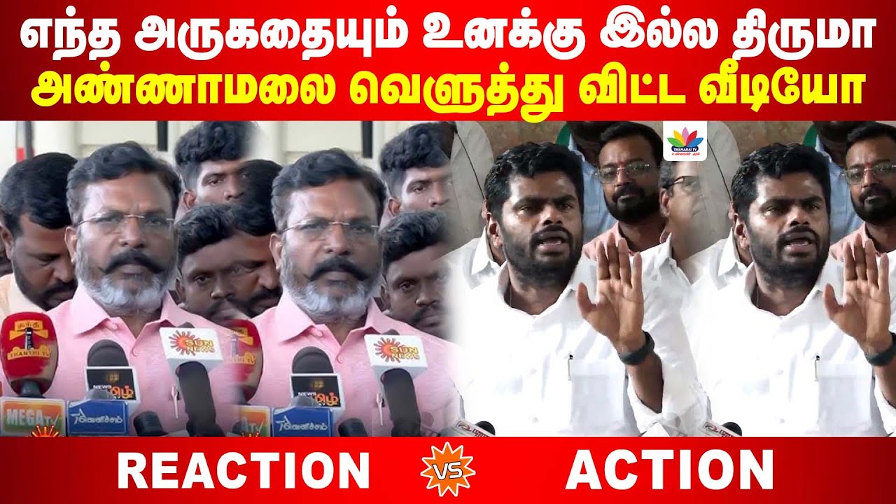 மதுரையில் வாய் விட்ட திருமாவளவன் | வெளுத்து விட்ட அண்ணாமலை வீடியோ | Annamalai VS Thirumavalavan