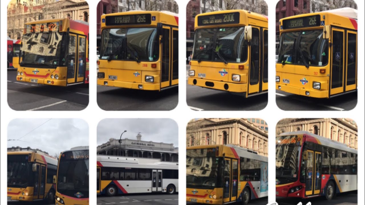 Various Buses in Adelaide on Thurs 03/08/2017