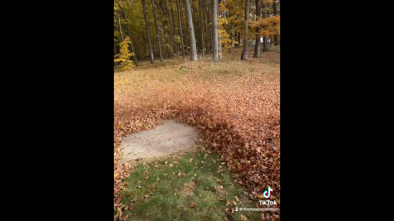 REDMAX 9000 blowing large amounts of leaves