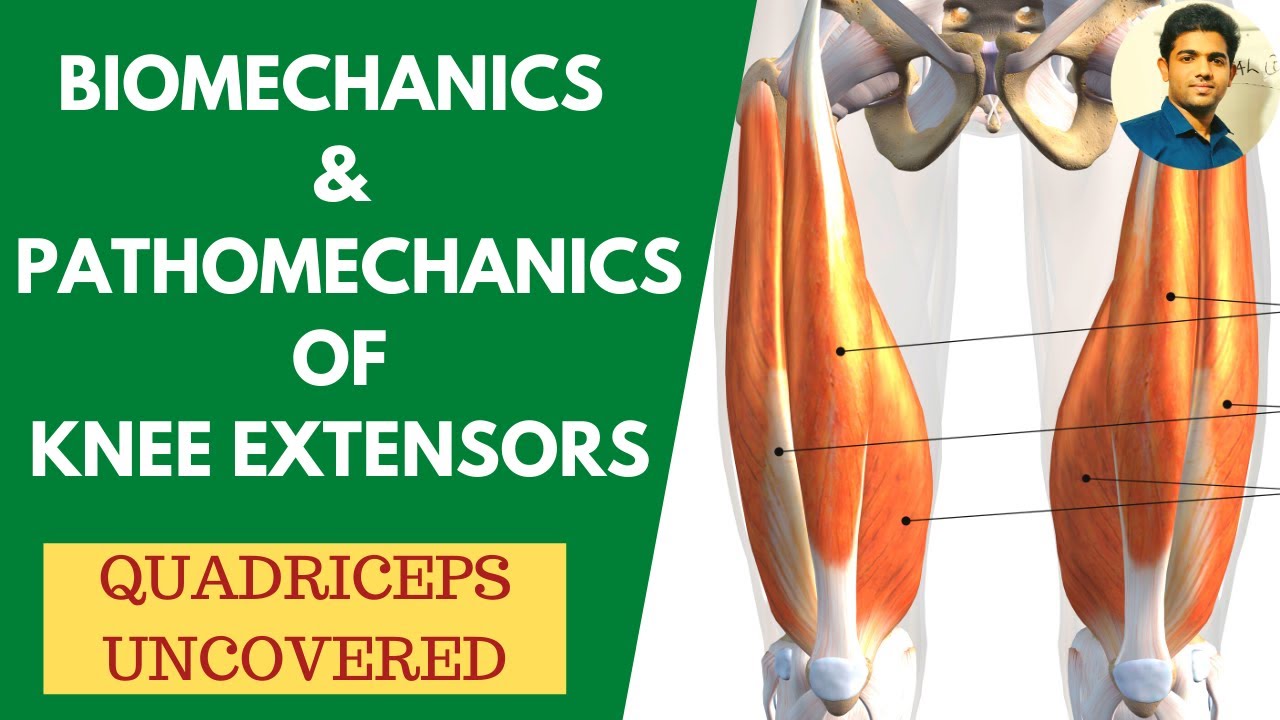 Biomechanics & Pathomechanics of Knee Extensors | Quadriceps Uncovered