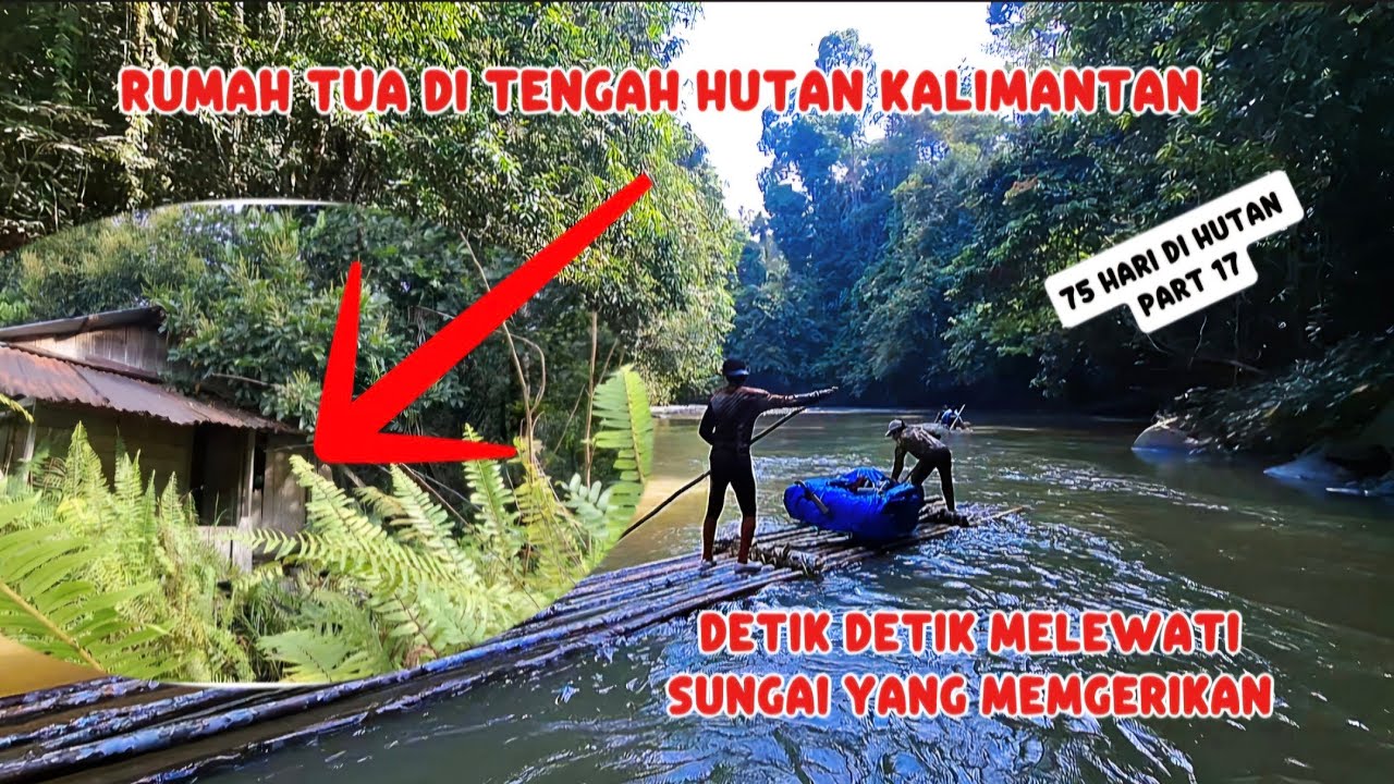 DETIK DETIK MENEGANGKAN DI DALAM HUTAN  LOGISTIK HABIS KAMI HARUS PULANG.75 hari di hutan part#18
