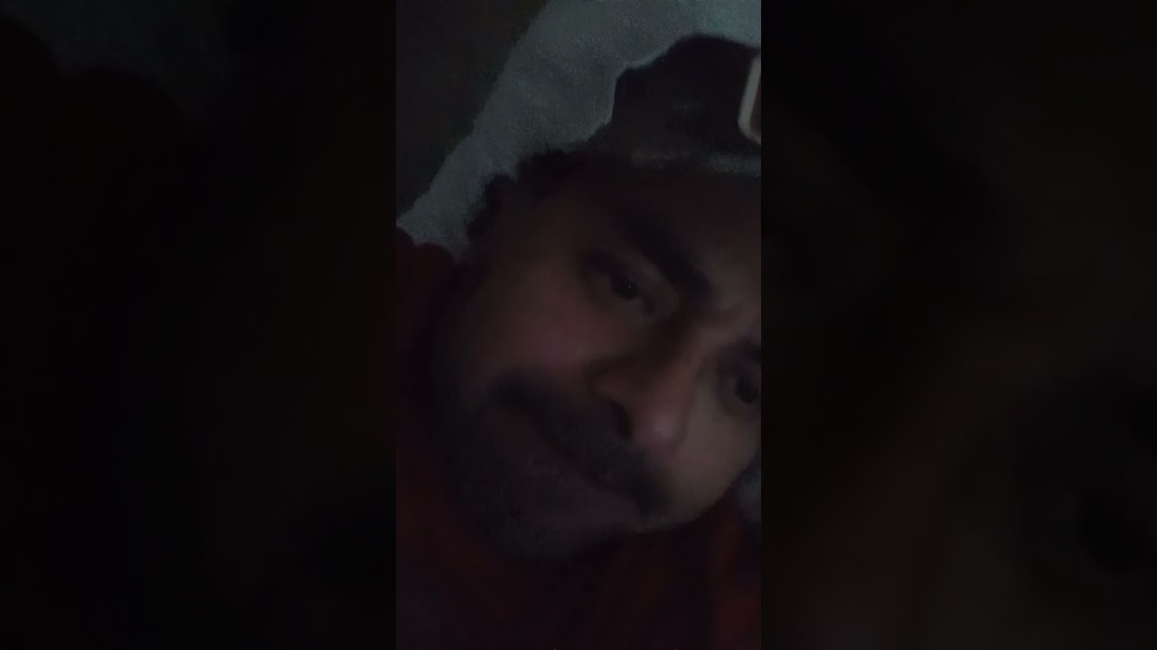 shit blog about