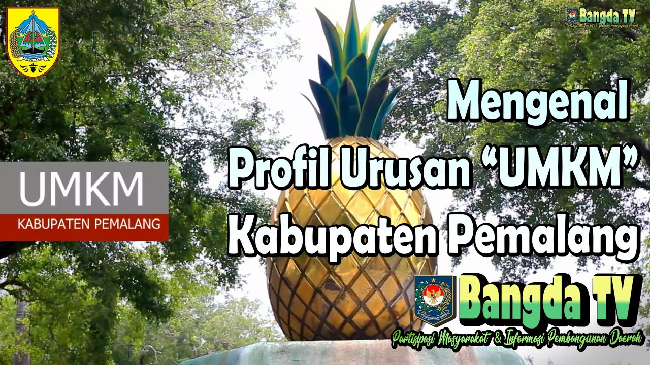 Mengenal Profil Penyelenggaraan Urusan 