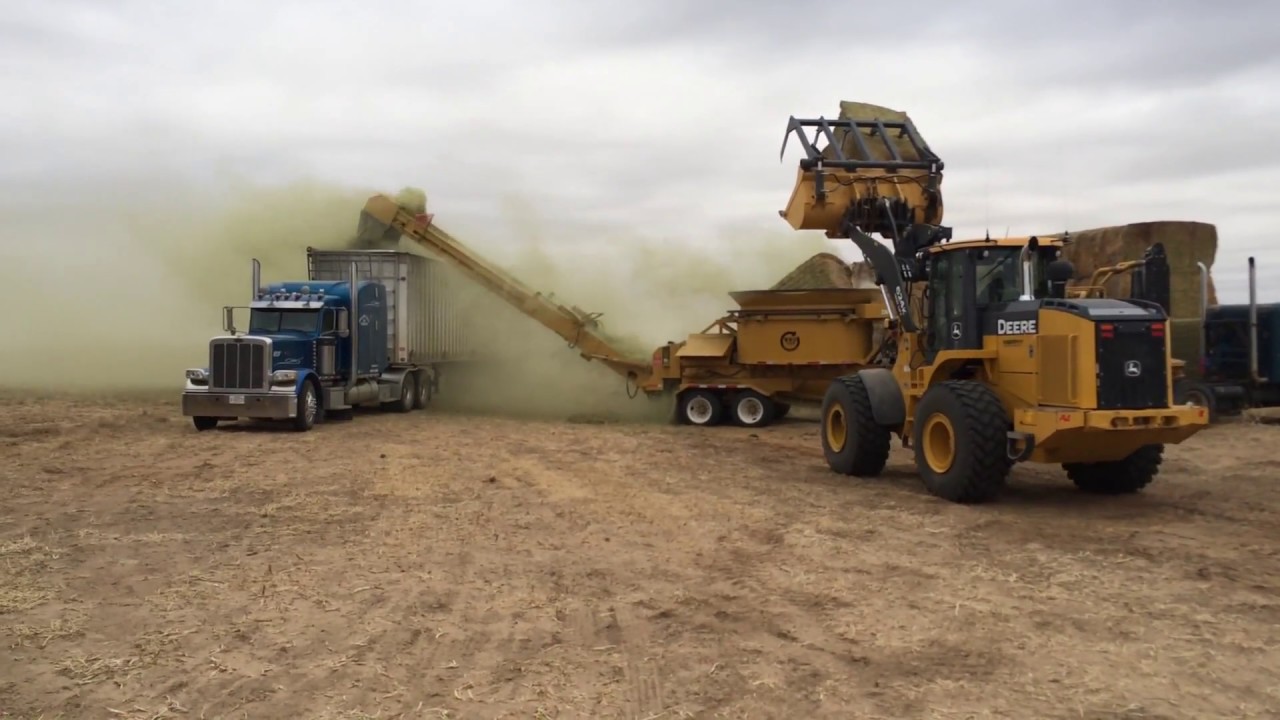 Quality Hay!Grinding that hay Lakin KS-- W.H.O Tub Grinders C27 CAT!