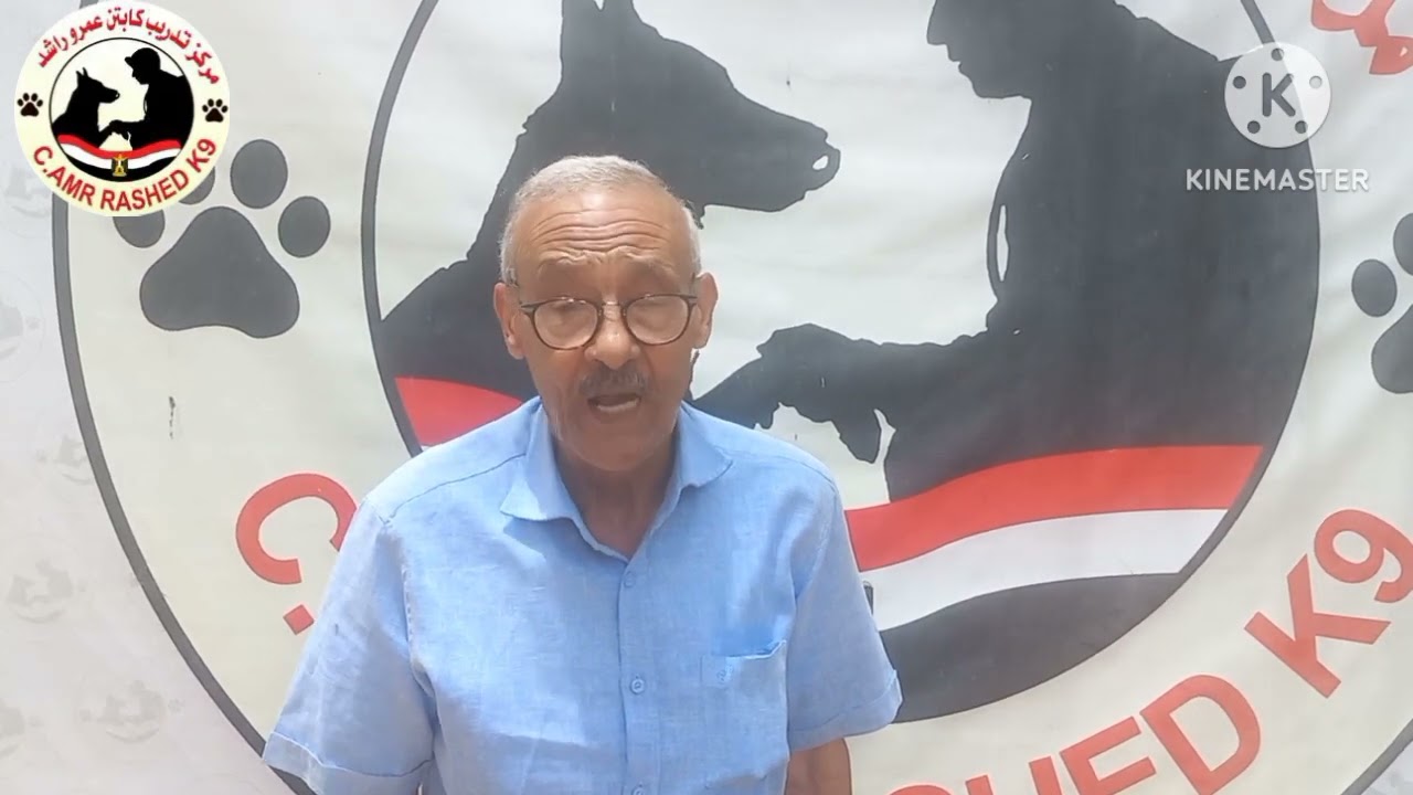 تسليم الكلبة ليدي الشقية لصاحبها . كابتن عمرو راشد لتدريبات الطاعة والحرا سة