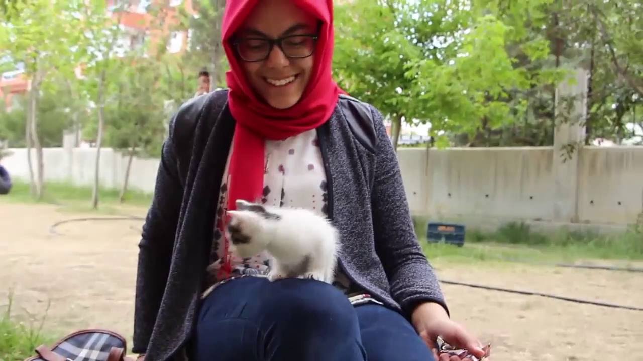 Karatay TOKİ Anadolu Lisesi Tanıtım Videosu Temmuz 2016