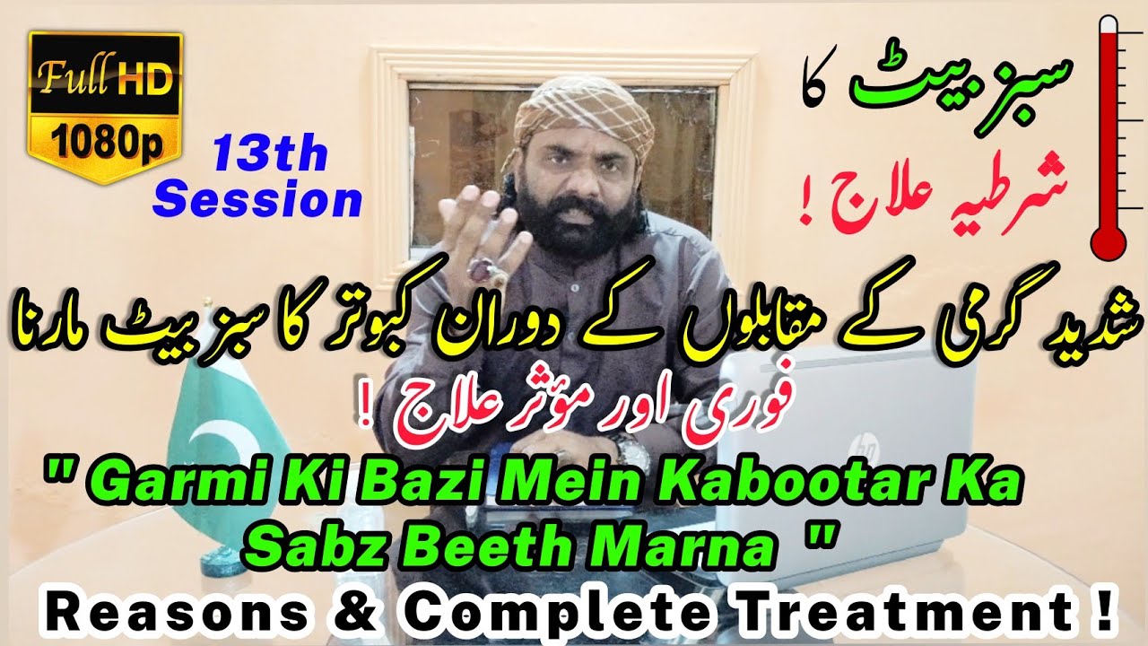 Garmi Ki Bazi Mein Kabootar Ka Sabz Beeth Marna | Sabz Beeth Ka Elaj | 100% Resulted Treatment