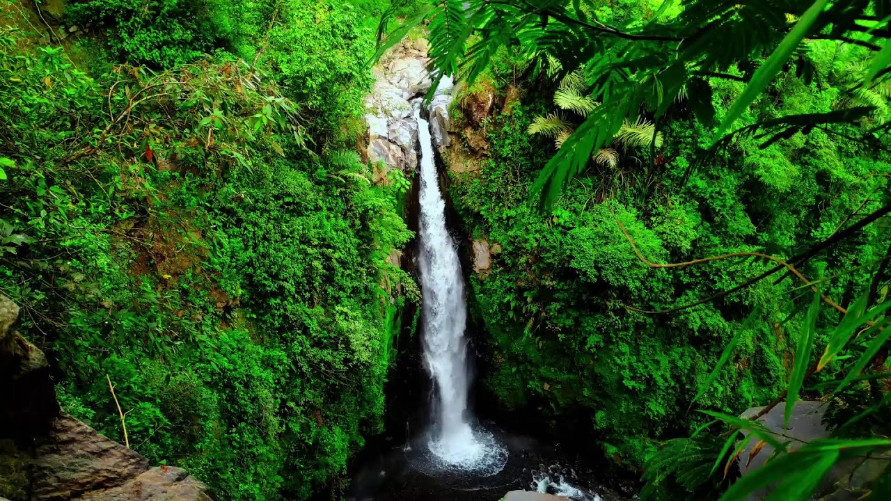 River Sound Relaxing – Soothing Water Sounds with Birds for Meditation and Inner Calm