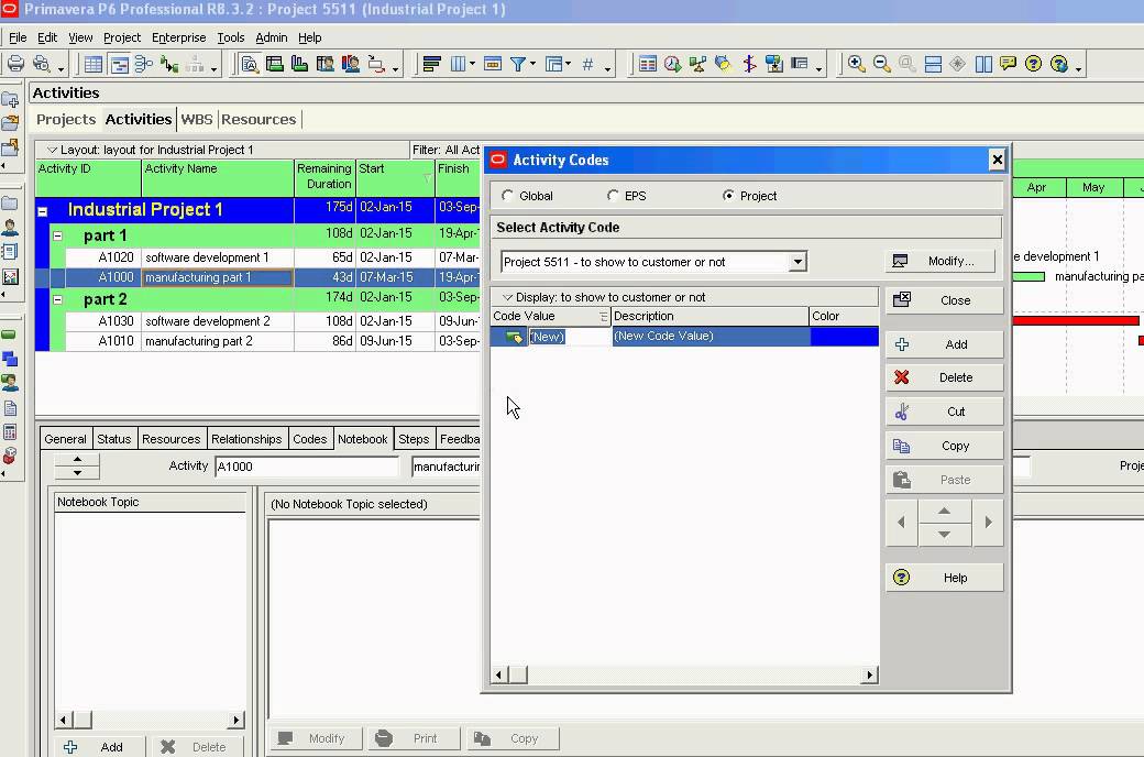 Primavera P6 Create and Assign activity codes to activities