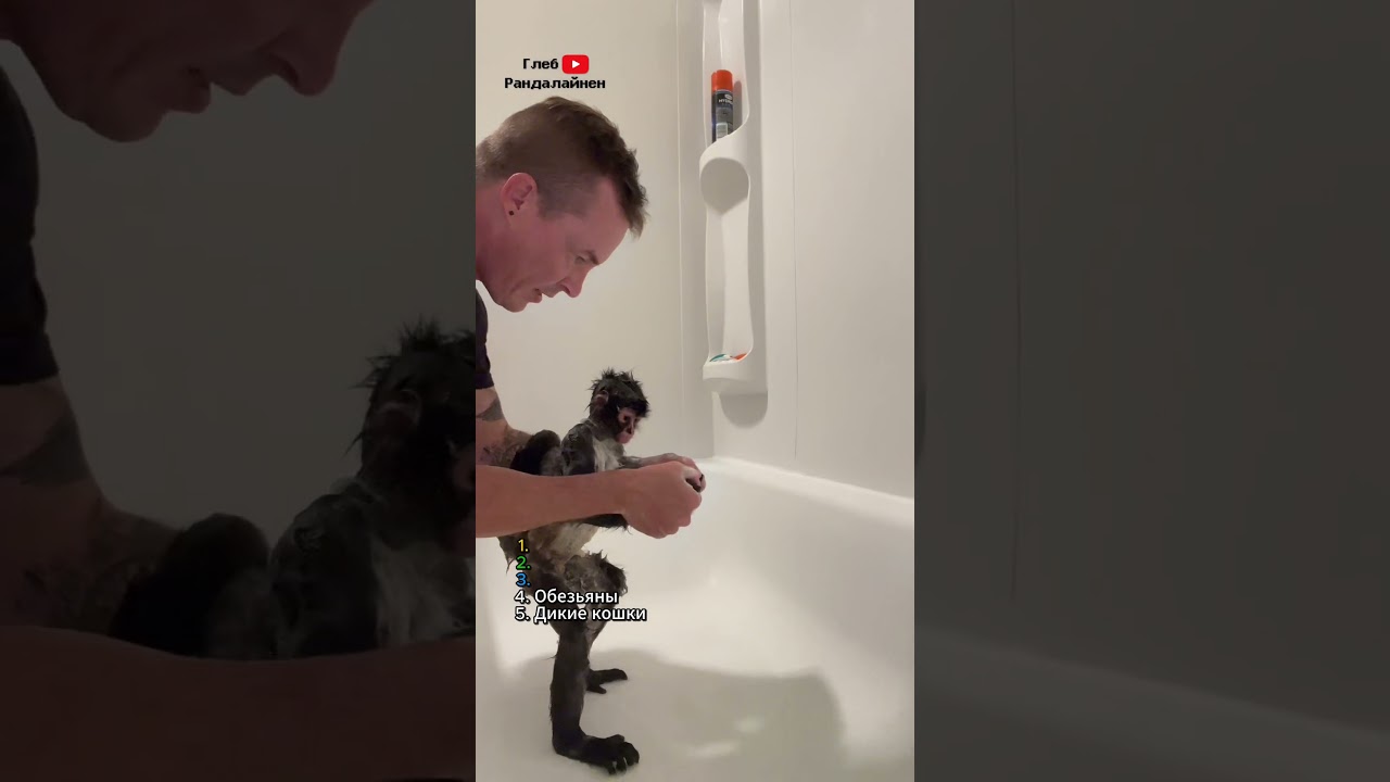 Top 5 worst pets 🙅&zwj;♂️