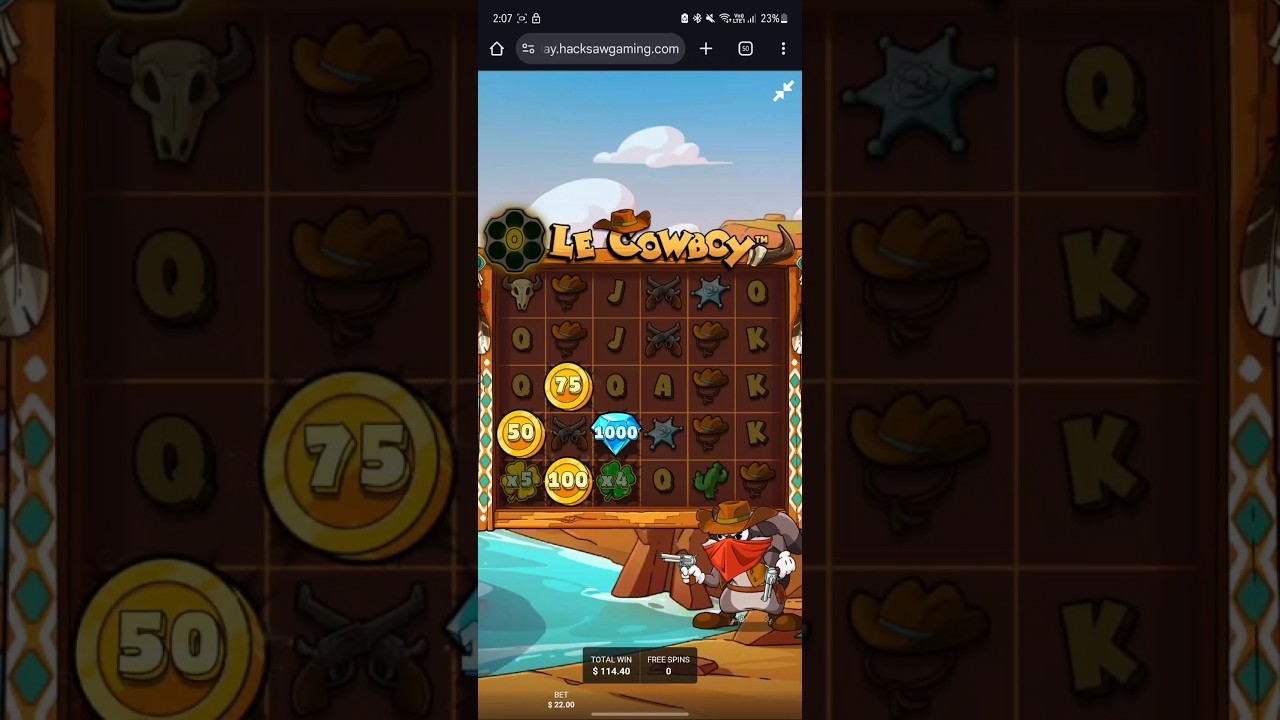 Le cowboy Max win Stake New game