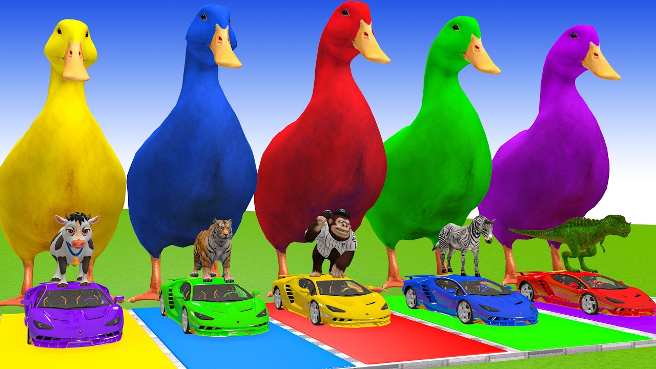 Long Slide Game With Cow Elephant Gorilla Hippopotamus Tiger 3d Animal Game Funny 3d Animals