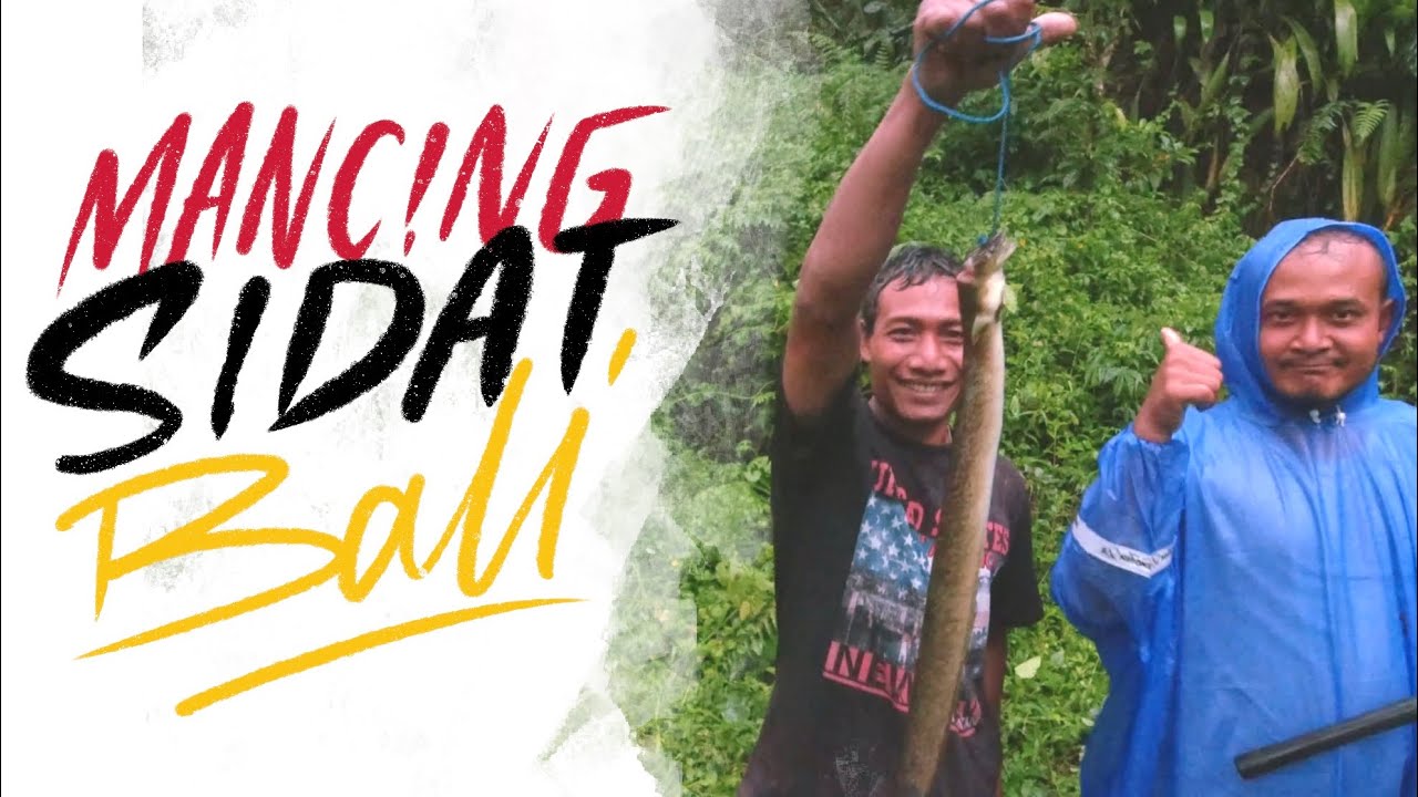 Mancing sidat Bali