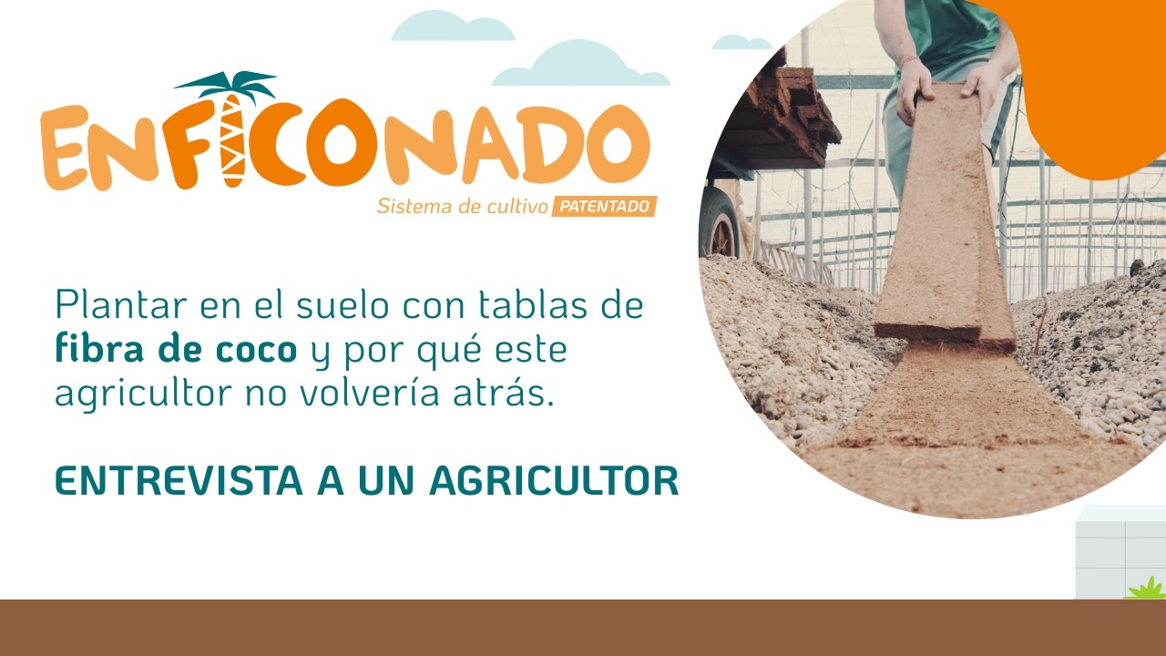 Enficonado: plantar en suelo con fibra de coco (y por qué este agricultor no volvería atrás)